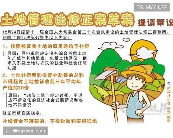 奥利塞上限究竟如何：潜能解析与位置瓶颈