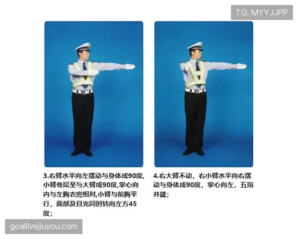 裁判手势解读：比赛现场常见判罚信号与含义